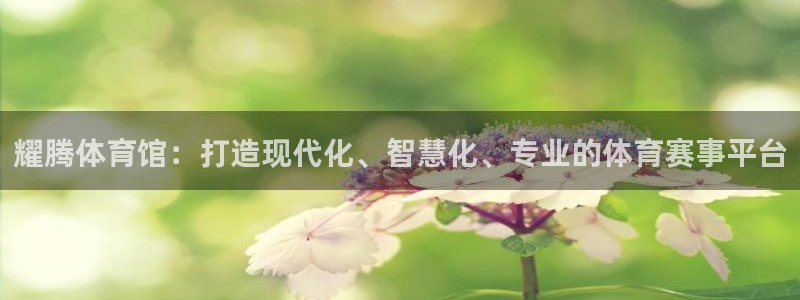 凯捷平台体育：耀腾体育馆：打造现代化、智慧化、专业的