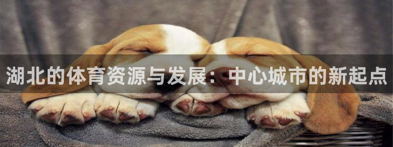 凯捷体育招商电话号码是多少啊：湖北的体育资源与发展：