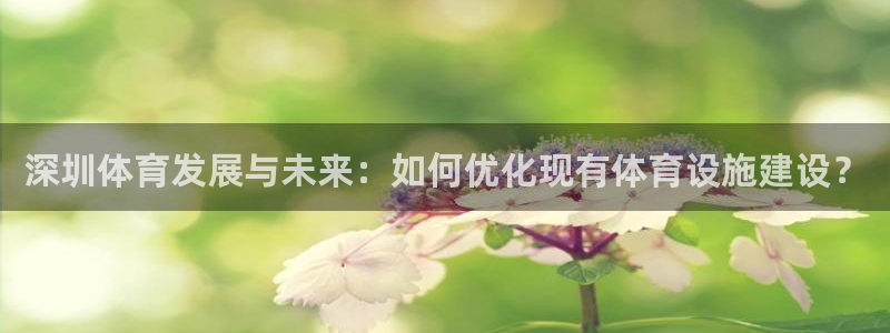 凯捷体育开户：深圳体育发展与未来：如何优化现有体育设
