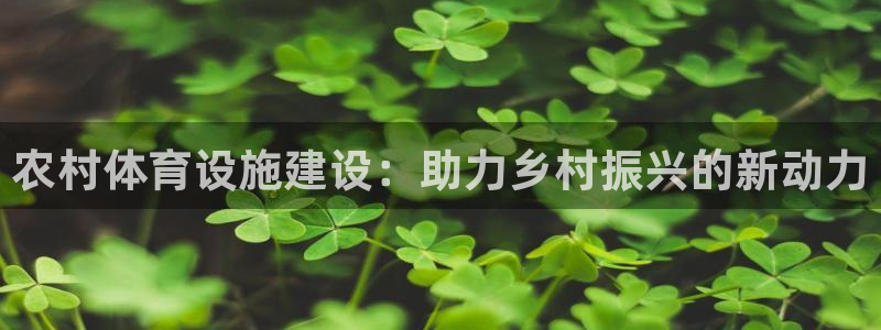 凯捷体育平台注册流程图：农村体育设施建设：助力乡村振