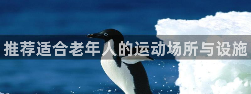 凯捷体育平台注册流程视频：推荐适合老年人的运动场所与