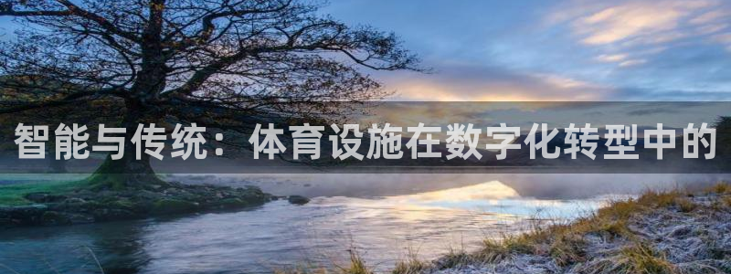 海南凯捷体育发展怎么样：智能与传统：体育设施在数字化