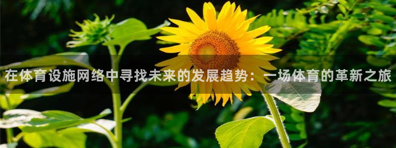 凯捷体育平台注册流程视频：在体育设施网络中寻找未来的