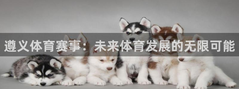 凯捷体育娱乐是那个系列的台子：遵义体育赛事：未来体育