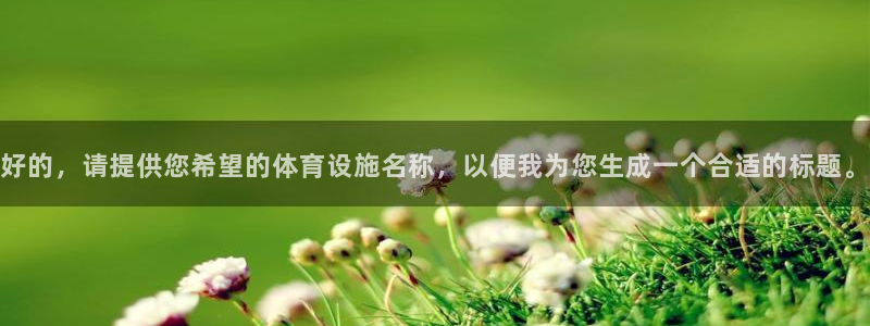 凯捷体育新能源：好的，请提供您希望的体育设施名称，以