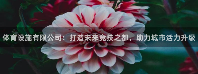 凯捷体育娱乐网站：体育设施有限公司：打造未来竞技之都
