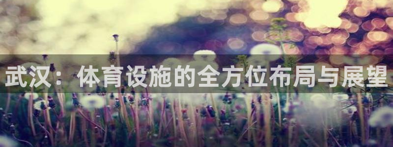 凯捷体育五金厂：武汉：体育设施的全方位布局与展望