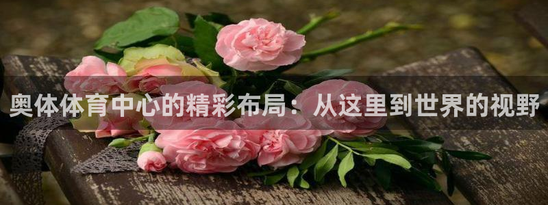 凯捷体育平台注册：奥体体育中心的精彩布局：从这里到世