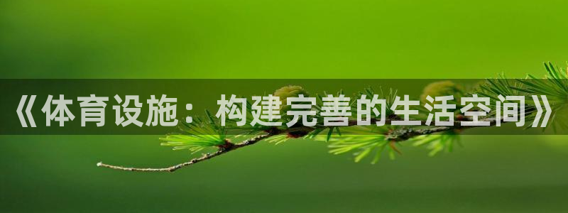 凯捷体育娱乐平台：《体育设施：构建完善的生活空间》