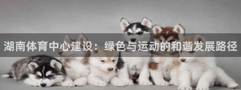 凯捷体育科技：湖南体育中心建设：绿色与运动的和谐发展