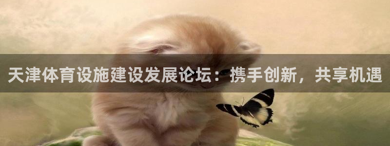 海南凯捷体育发展怎么样：天津体育设施建设发展论坛：携