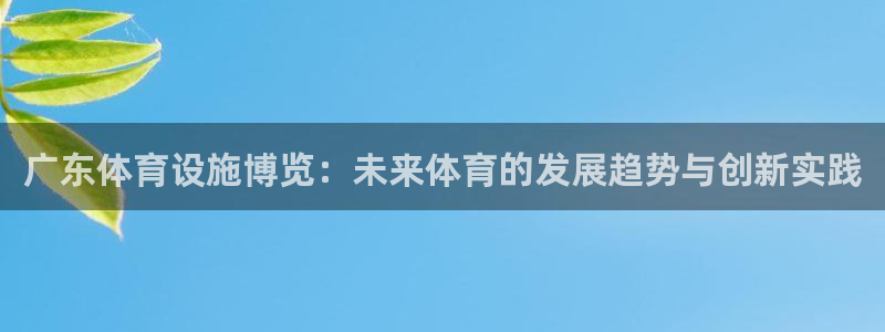 凯捷体育平台注册流程视频：广东体育设施博览：未来体育