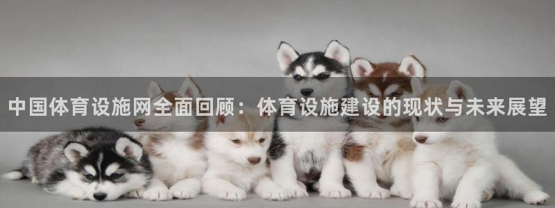 凯捷体育招商电话是多少号码