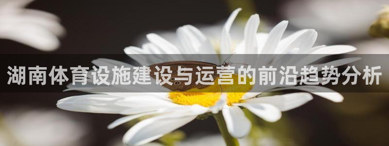 凯捷体育招商电话是多少啊：湖南体育设施建设与运营的前