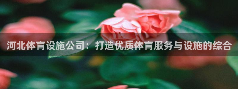 凯捷体育平台：河北体育设施公司：打造优质体育服务与设