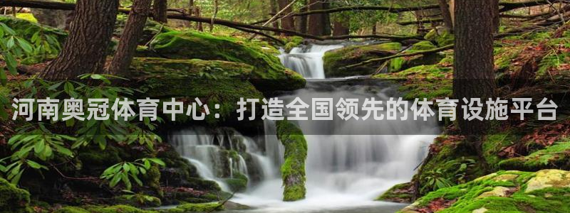 凯捷体育招商：河南奥冠体育中心：打造全国领先的体育设