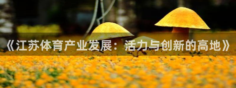 凯捷体育娱乐40996：《江苏体育产业发展：活力与创