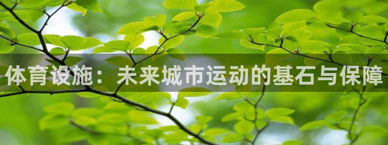 凯捷体育招商电话是多少啊：体育设施：未来城市运动的基