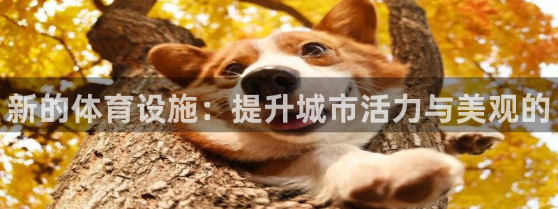 凯捷体育招商电话号码：新的体育设施：提升城市活力与美