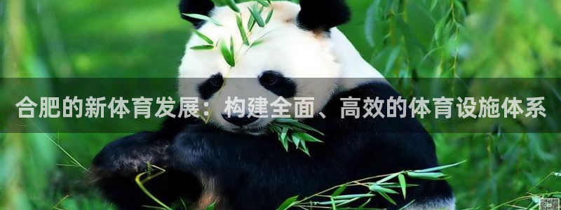凯捷体育招商电话地址是多少：合肥的新体育发展：构建全