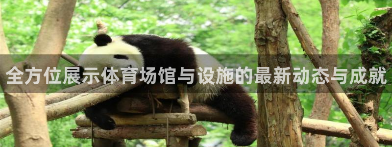 凯捷体育招商电话是多少啊：全方位展示体育场馆与设施的最新动态