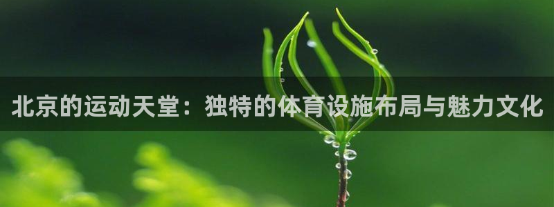 海南凯捷体育发展怎么样：北京的运动天堂：独特的体育设施布局与