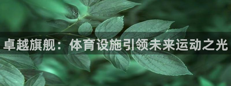 凯捷体育招商电话是多少啊