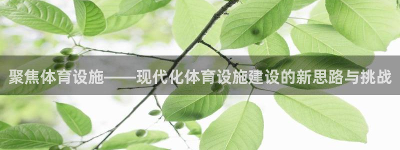 凯捷体育代理：聚焦体育设施——现代化体育设施建设的新思路与挑 